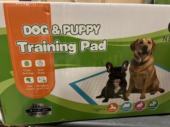 Dog And Puppy Training XL 30x36inch 150pcs/box