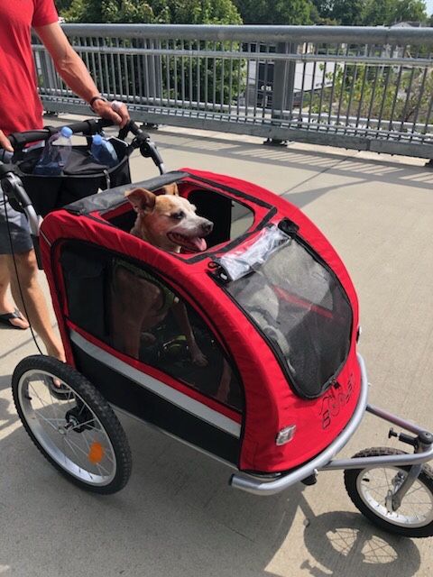Barely Used Booyah Out Stroller With Organizer Large Breed Size / Multiple Dogs