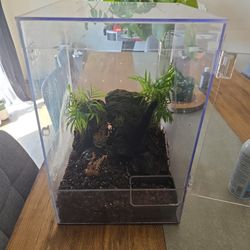 Terrarium