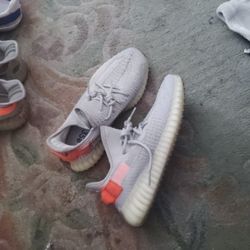 Adidas Yeezy