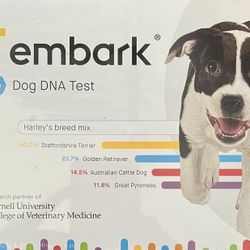 Embark Dog DNA Test Plus Health Check