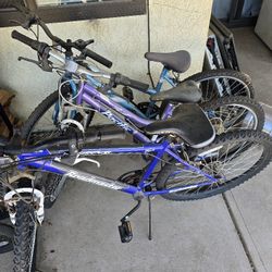 7 Bikes For $100