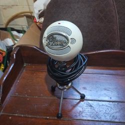 Microphone 