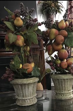 Apple/pear kitchen decor