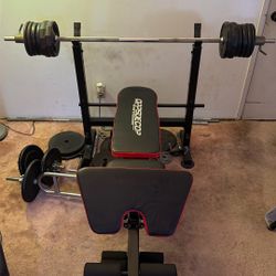 Weights and Workout Equipment (everything in the Picture)