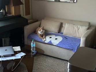 Amazon Sleeper Sofa 3 in 1