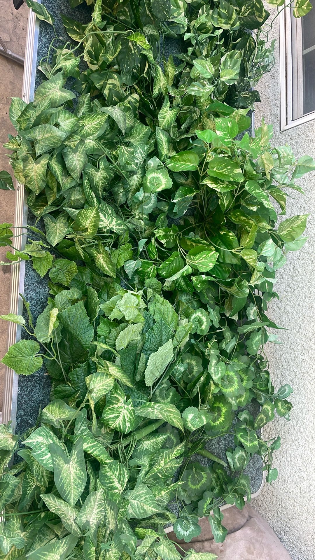 10 Artificial Plants. 5 Different Types