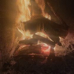 Dry Firewood