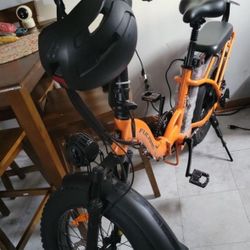 Electric Bike