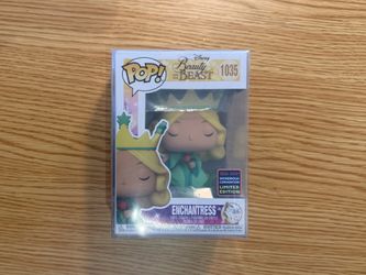 Disney Funko Beauty and the Beast
