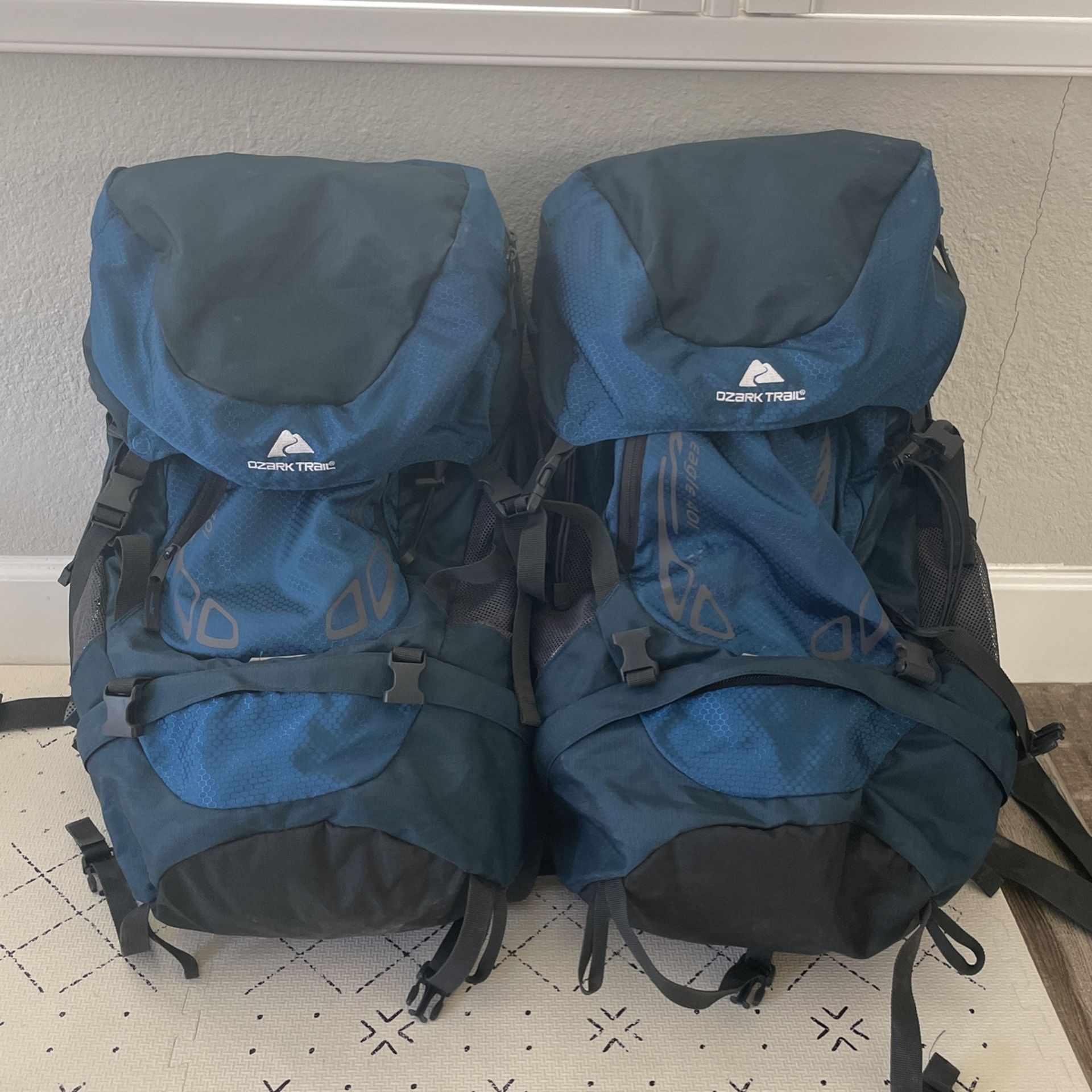 Ozark Trail Eagle 401 Backpack (2) 