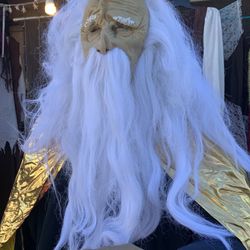 Wise Wilzard Mask & Gold Cape. 