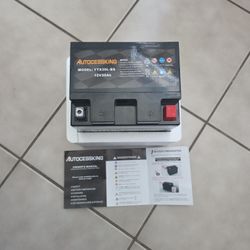 Anlibatt YTX30L-BS Motorcycle Battery 