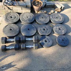 Weight Plates And Dumbells 