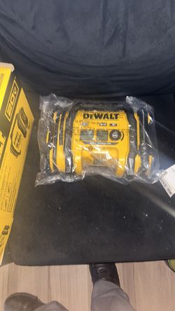 DeWalt Air inflator