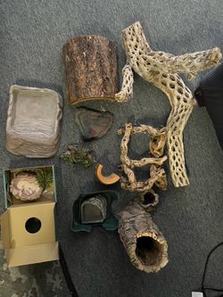 accessories, and decor Reptile tank accessories, and decor