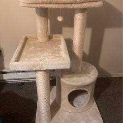 Cat Tower 