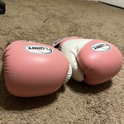Boxing Female Gloves $20