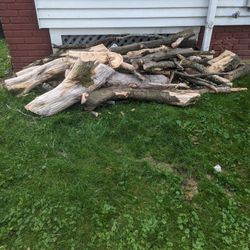 Huge Pile Of Fire 🔥 Wood 