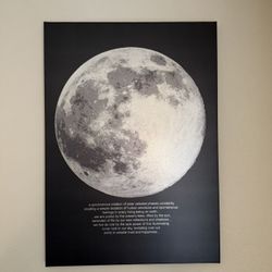 Moon Poster Framed