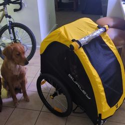 Burley Bee 1 Seat Bike Trailer