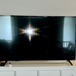 45 Inch Vizio TV