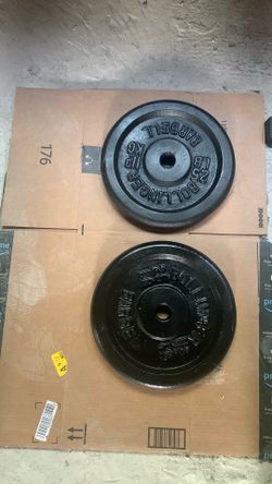 25lb Pair Weight Plates