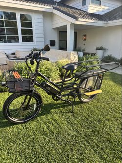 Rad wagon 4 electric bike