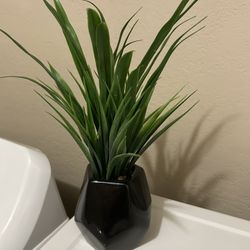 Fake Grass Plant