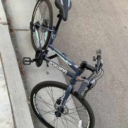 Schwinn 29in town bike