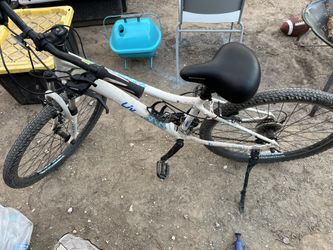  Enchant Liv mountain bike with a Schwinn seat. 