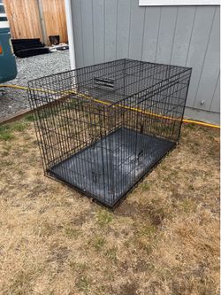 Dog Kennel