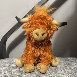 Small Highland Cow 