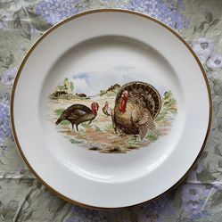 Vintage Sheffield Ceramic Turkey Platter