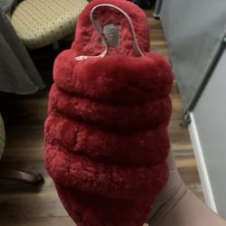 Ugg Slippers Slightly Worn