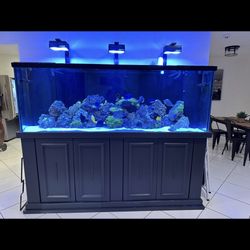265 Gallon Aquarium 