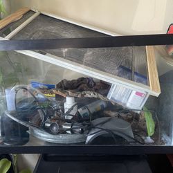 Aquarium & Supplies 