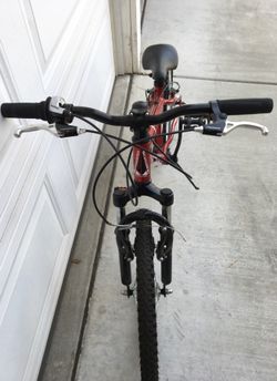 Schwinn 2025 scour 20