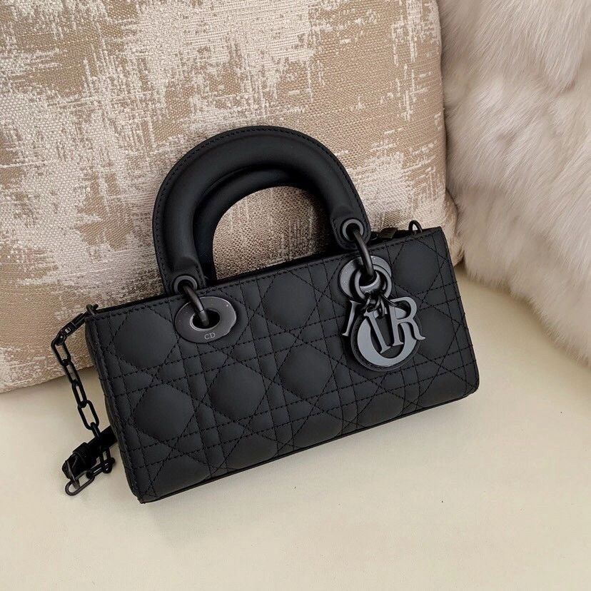 Ladies Christian Dior Bag