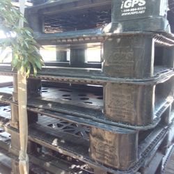 Plastiic pallets