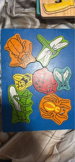 Wooden Insect Puzzle for Kids
