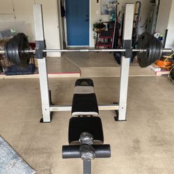  Gold gym weight bench. Olympic size bar and weights.