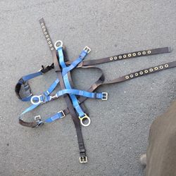 Falltech Harness