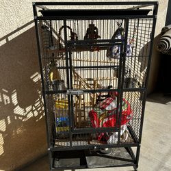 Bird Cage