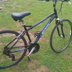 Schwinn Hybrid Road Bike