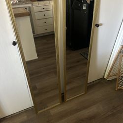 Standup / Door Mirrors