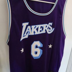 LeBron James City Edition Lakers Jersey #6 Purple 