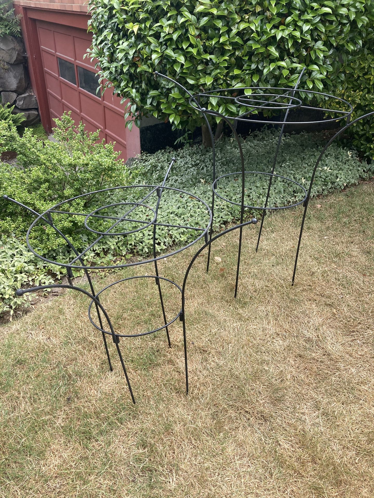 Wrought Iron Garden Plant Frames