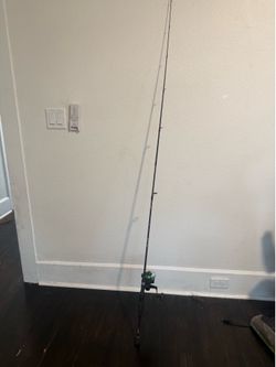 Fishing rods
