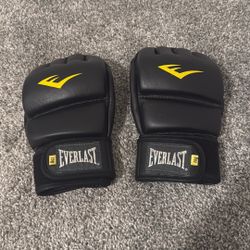 Everlast Mma Training Gloves